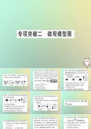 中考化学准点备考复习 专项突破二 微观模型图课件 新人教版 课件