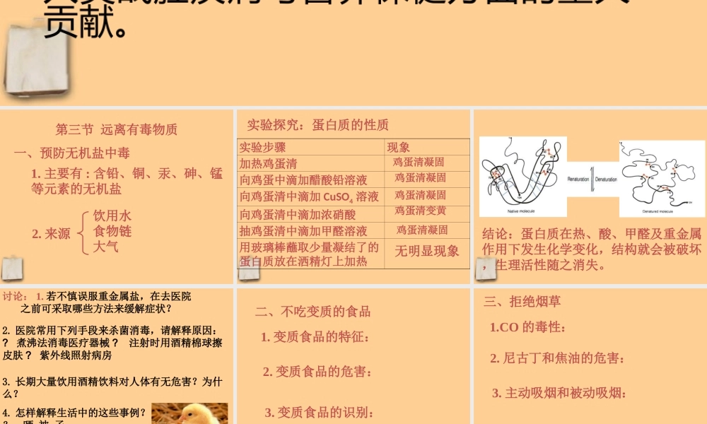 九年级化学 83 远离有毒物质课件 鲁教版 课件