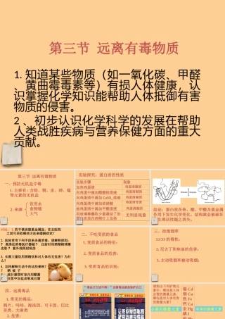 九年级化学 83 远离有毒物质课件 鲁教版 课件