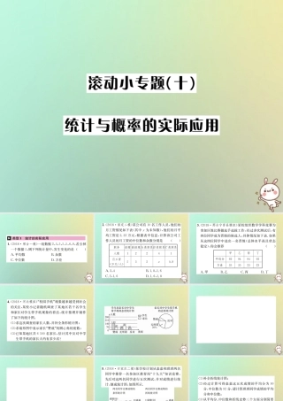 中考数学系统复习 第八单元 统计与概率 滚动小专题(十)统计与概率的实际应用课件
