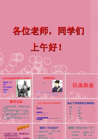中考语文(以虫治虫)复习课件2 新人教版 课件
