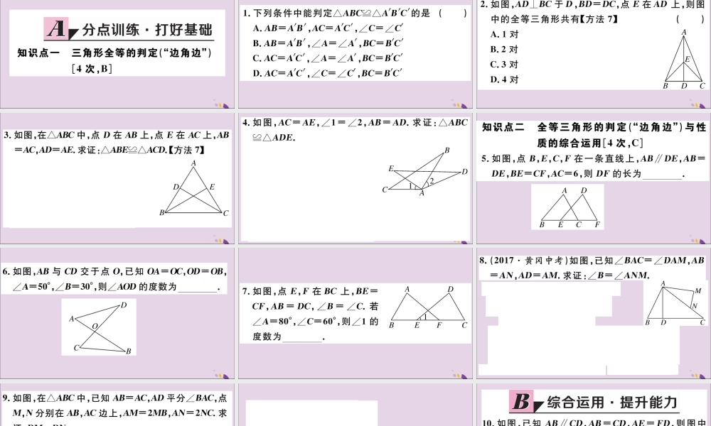(河北专版)八年级数学上册 12.2 三角形全等的判定 第2课时 边角边 习题课件 (新版)新人教版 课件