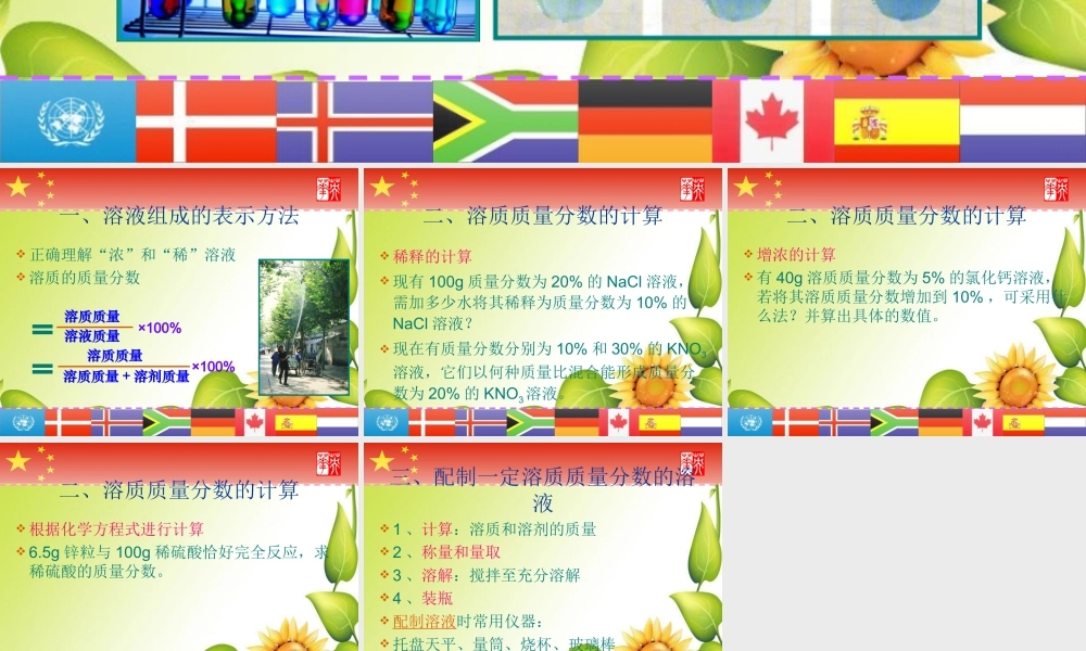九年级化学下册93溶质的质量分数课件1人教新课标版 课件