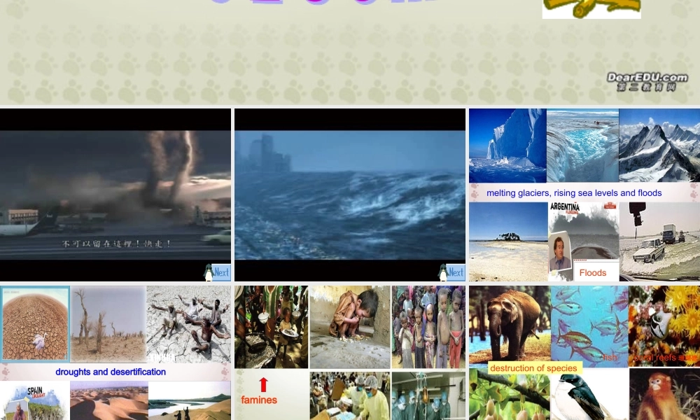 unit4 using language 广东地区高二英语选修六 Unit4课件(含ppt,视频文件)新课标 广东地区高二英语选修六 Unit4课件(含ppt,视频文件)新课标