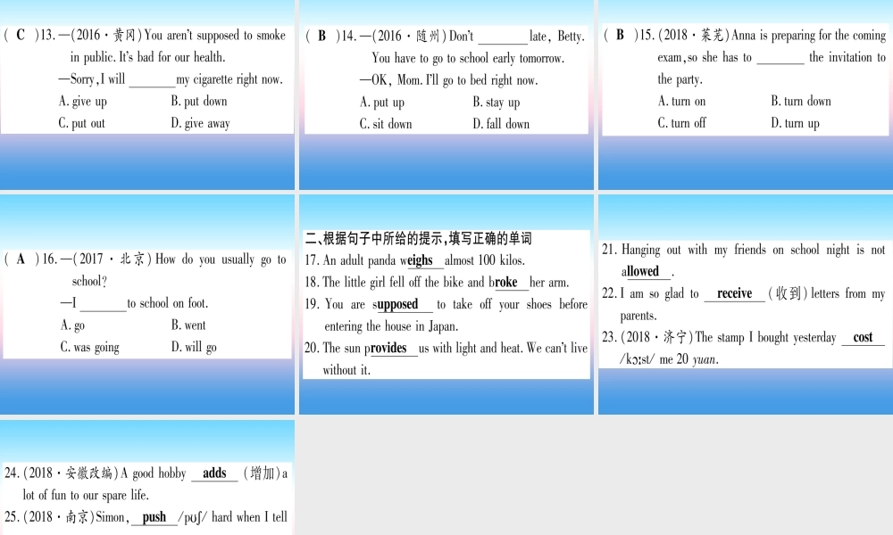 (湖北专用版)版中考英语专题高分练 专题突破八 动词和动词短语实用课件