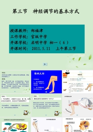 七年级生物 神经调节的课件 人教新课标版 课件