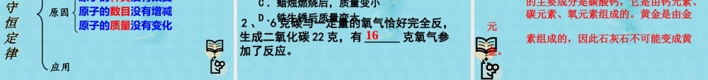 九年级化学上册 第五单元 第一节 化学反应中的质量守恒课件2 (新版)鲁教版 课件