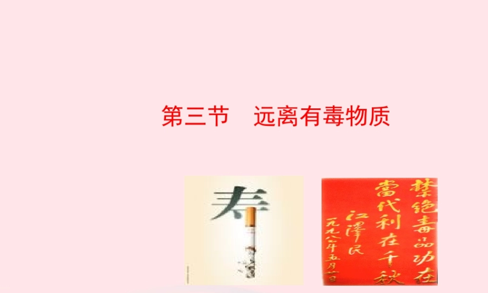 九年级化学下册 第十单元 第三节 远离有毒物质课件 鲁教版 课件