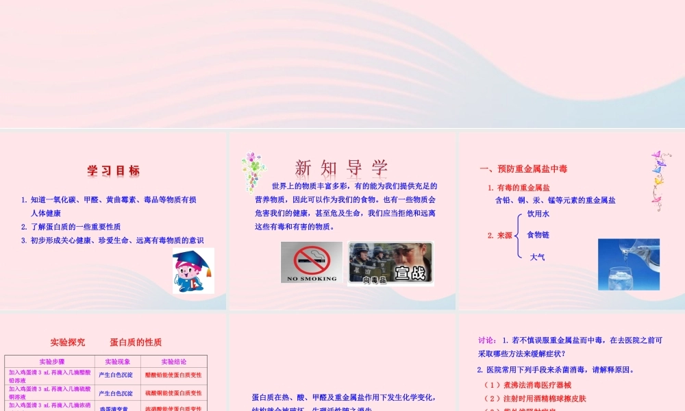 九年级化学下册 第十单元 第三节 远离有毒物质课件 鲁教版 课件