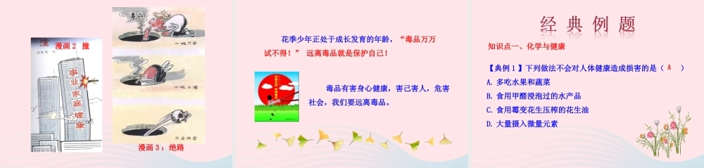 九年级化学下册 第十单元 第三节 远离有毒物质课件 鲁教版 课件