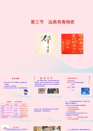 九年级化学下册 第十单元 第三节 远离有毒物质课件 鲁教版 课件