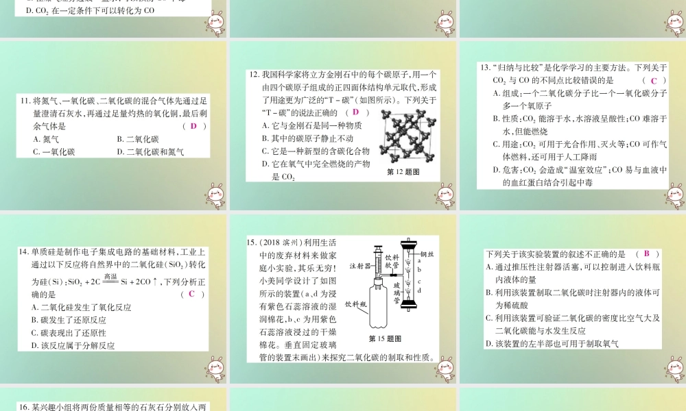 九年级化学上册 第六单元(碳和碳的氧化物)检测题课件 (新版)新人教版 课件