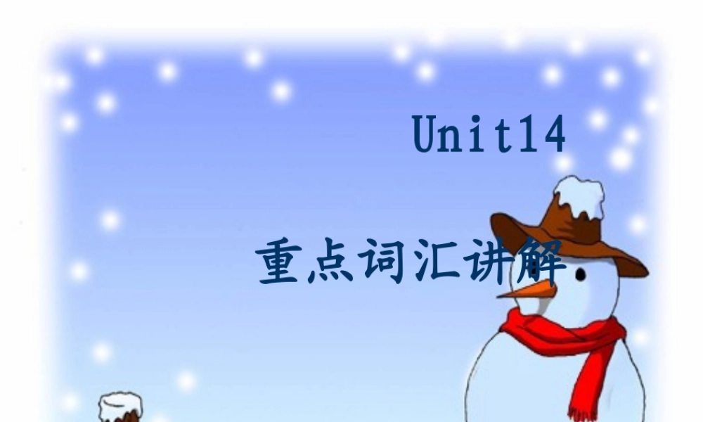 unit14(words) 湖北省高二英语下学期Unit14 Freedom fighters全单元课件 人教版 湖北省高二英语下学期Unit14 Freedom fighters全单元课件 人教版
