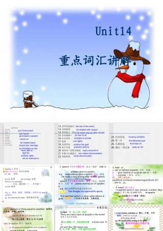 unit14(words) 湖北省高二英语下学期Unit14 Freedom fighters全单元课件 人教版 湖北省高二英语下学期Unit14 Freedom fighters全单元课件 人教版