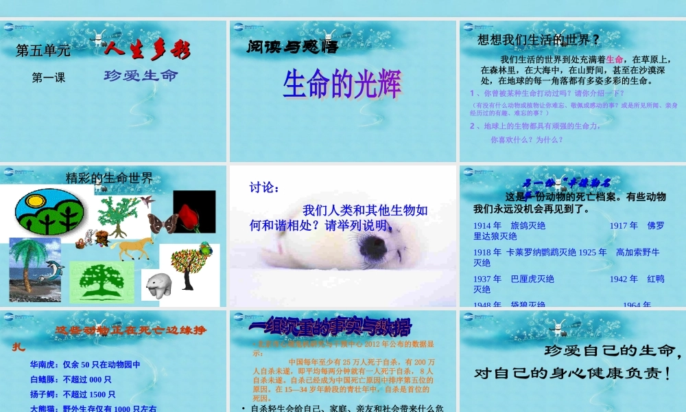 七年级政治下册 第五单元 第一课(珍爱生命)课件3 粤教版 课件