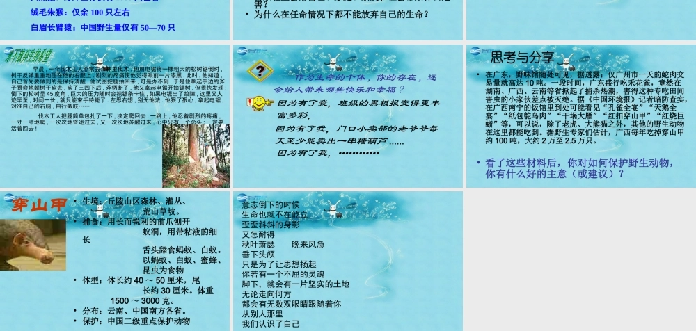 七年级政治下册 第五单元 第一课(珍爱生命)课件3 粤教版 课件