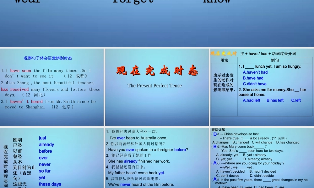 中考英语总复习 现在完成时态课件