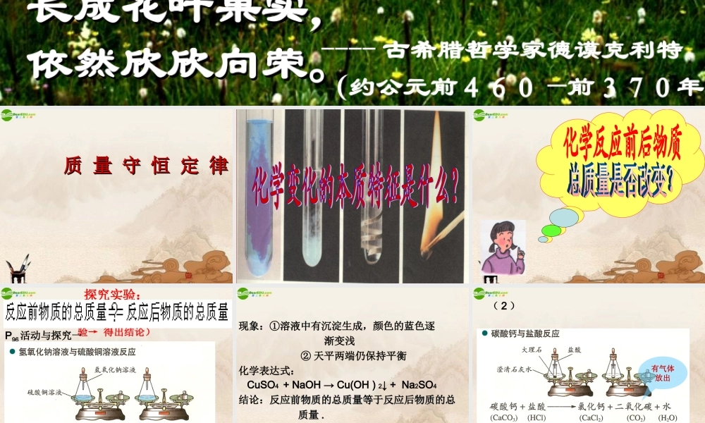 九年级化学 42定量认识化学变化课件 沪教版 课件