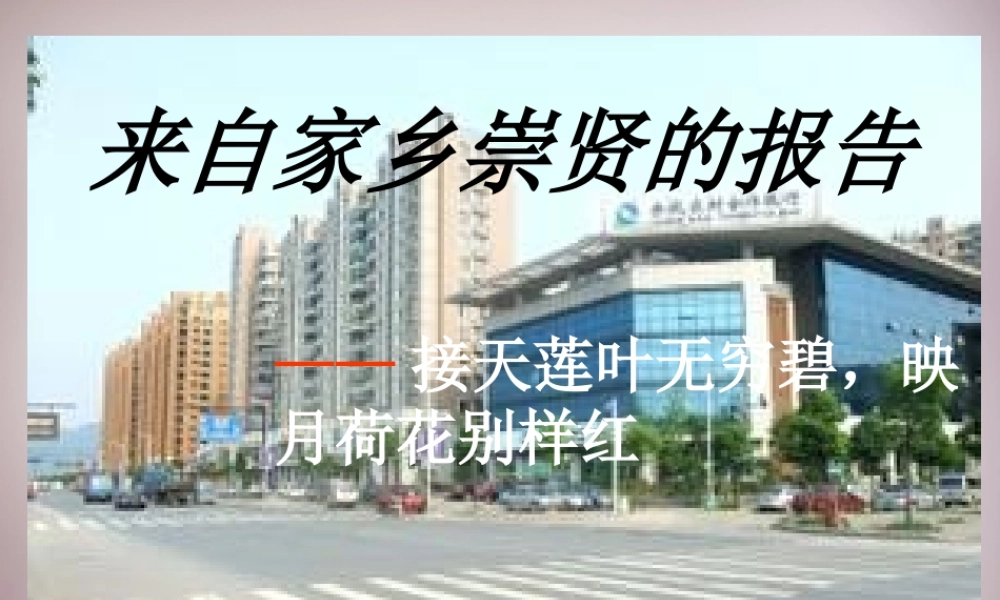 七年级历史与社会下册 第六单元 综合探究六 如何开展社会调查—以调查崇贤为例课件 人教版 课件