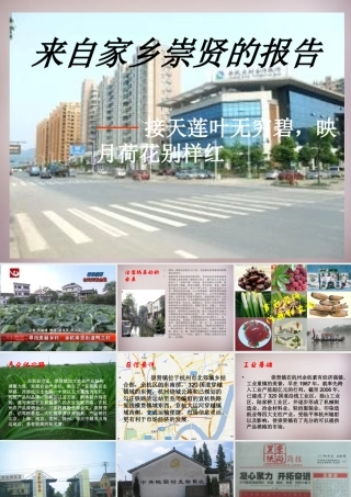 七年级历史与社会下册 第六单元 综合探究六 如何开展社会调查—以调查崇贤为例课件 人教版 课件