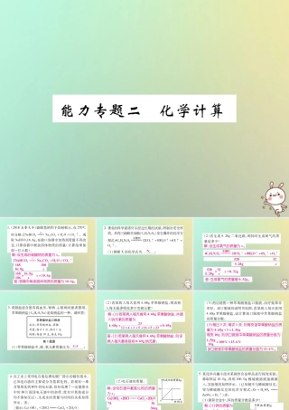 九年级化学上册 能力专题二 化学计算课件 (新版)新人教版 课件