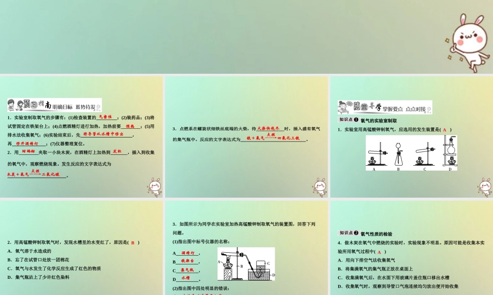 九年级化学上册 第2单元 我们周围的空气 实验活动1 氧气的实验室制取与性质作业课件 (新版)新人教版 课件