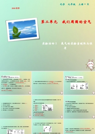 九年级化学上册 第2单元 我们周围的空气 实验活动1 氧气的实验室制取与性质作业课件 (新版)新人教版 课件