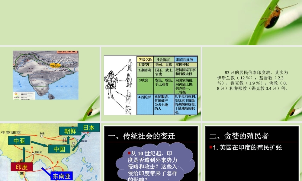 九年级历史上册 第9课(古老印度的抗争)课件1 北师大版 课件