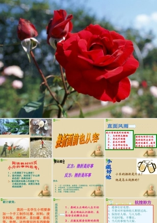七年级政治下册 第五课 第二框 挫折面前也从容课件 新人教版 课件