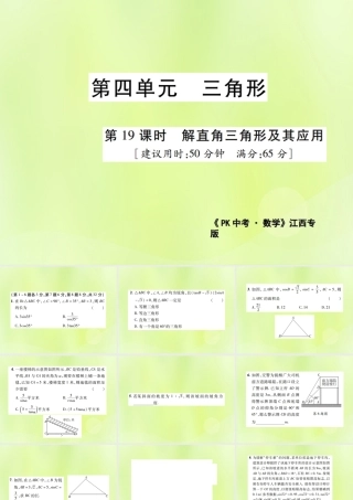 中考数学总复习 第四单元 三角形 第19课时 解直角三角形及其应用(高效集训本)课件