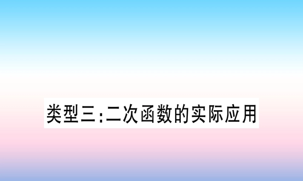 (湖北专版)中考数学总复习 第2轮 中档题突破 专项突破3 实际应用与方案设计 类型3 二次函数的实际应用习题课件