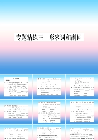 中考英语准点备考 专题精练三 形容词和副词课件
