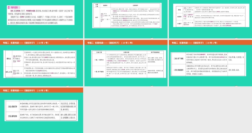 中考语文总复习 第二部分 语文积累与综合运用 专题二 名著阅读(骆驼祥子)课件