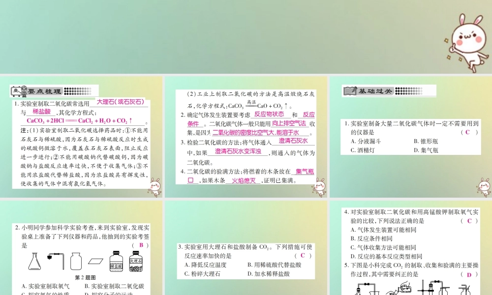 九年级化学上册 第六单元 碳和碳的氧化物 课题2 二氧化碳制取的研究课件 (新版)新人教版 课件