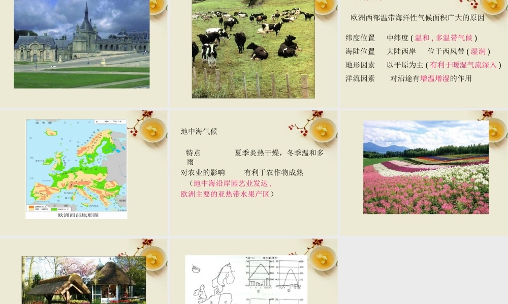 七年级地理下册 第八单元各具特色的地区第5课欧洲西部课件 商务星球版 课件