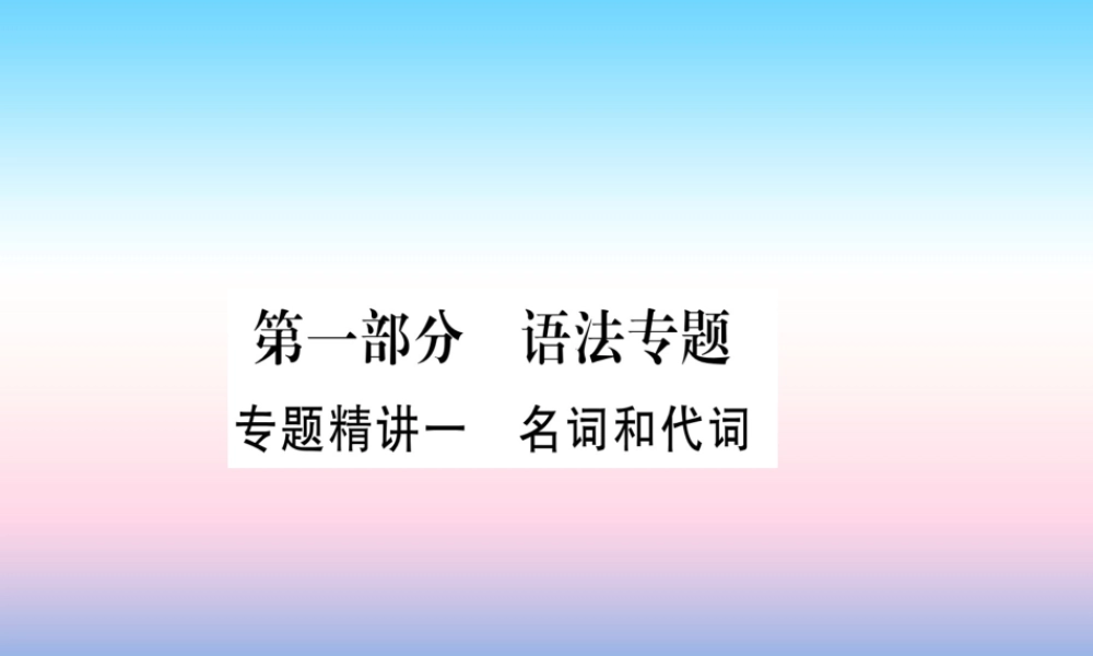 中考英语准点备考 专题精讲一 名词和代词课件