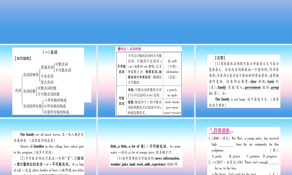 中考英语准点备考 专题精讲一 名词和代词课件