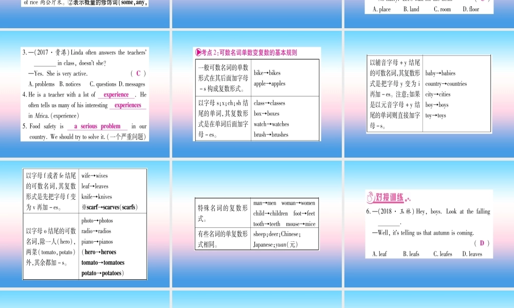 中考英语准点备考 专题精讲一 名词和代词课件