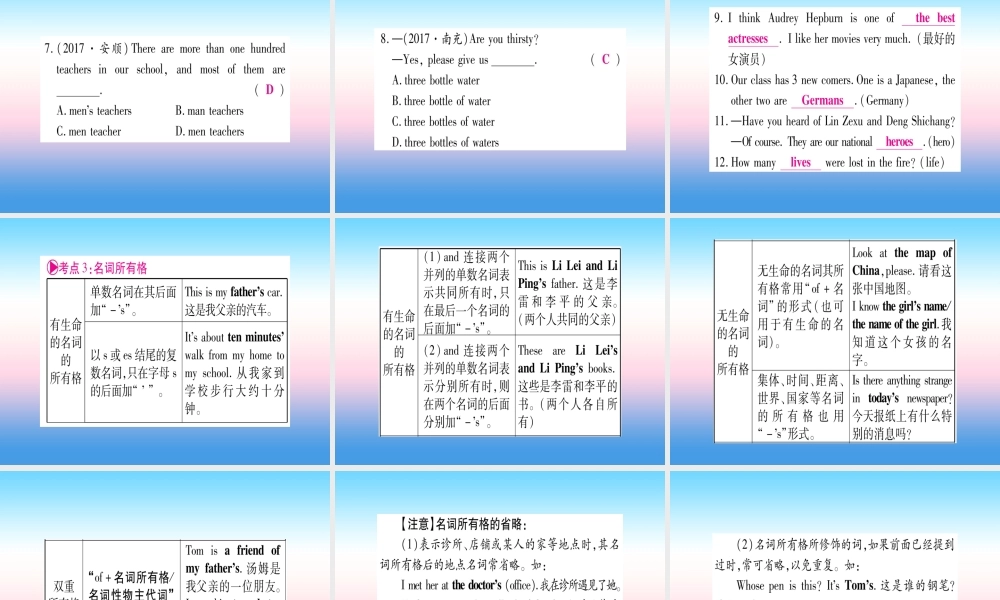 中考英语准点备考 专题精讲一 名词和代词课件
