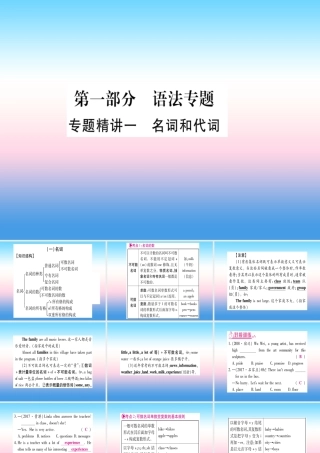中考英语准点备考 专题精讲一 名词和代词课件