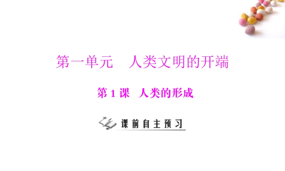 九年级历史上册 第一单元 第1课 人类的形成  配套课件 人教新课标版 课件