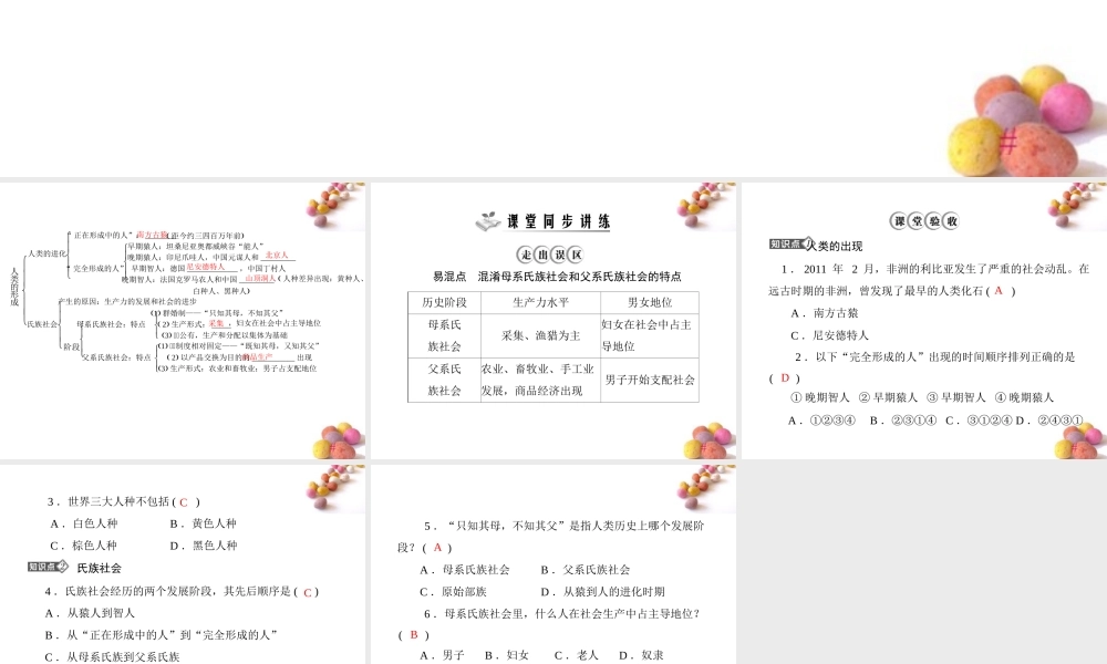 九年级历史上册 第一单元 第1课 人类的形成  配套课件 人教新课标版 课件