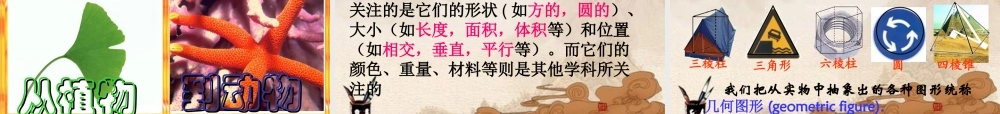 七年级数学上册 4.1.1多姿多彩的图形课件 人教新课标版 课件