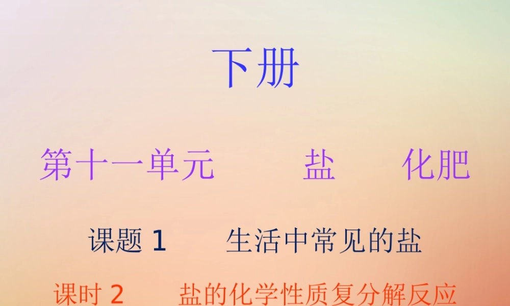 九年级化学下册 第十一单元 盐 化肥 课题1 生活中常见的盐 课时2 盐的化学性质复分解反应(内文)课件 (新版)新人教版 课件