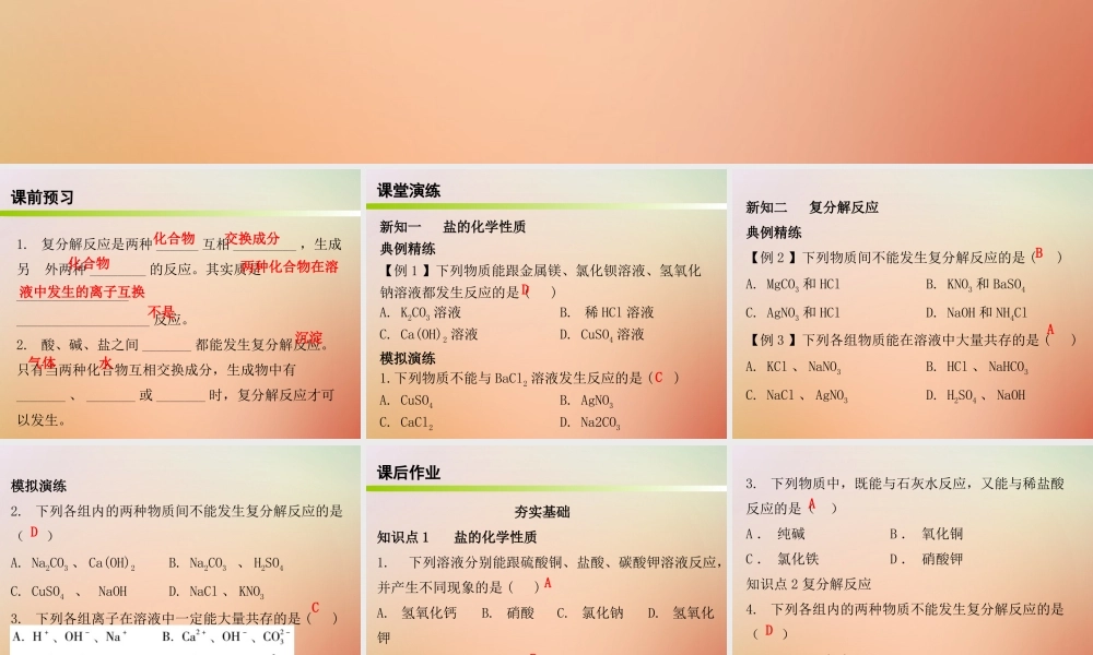 九年级化学下册 第十一单元 盐 化肥 课题1 生活中常见的盐 课时2 盐的化学性质复分解反应(内文)课件 (新版)新人教版 课件