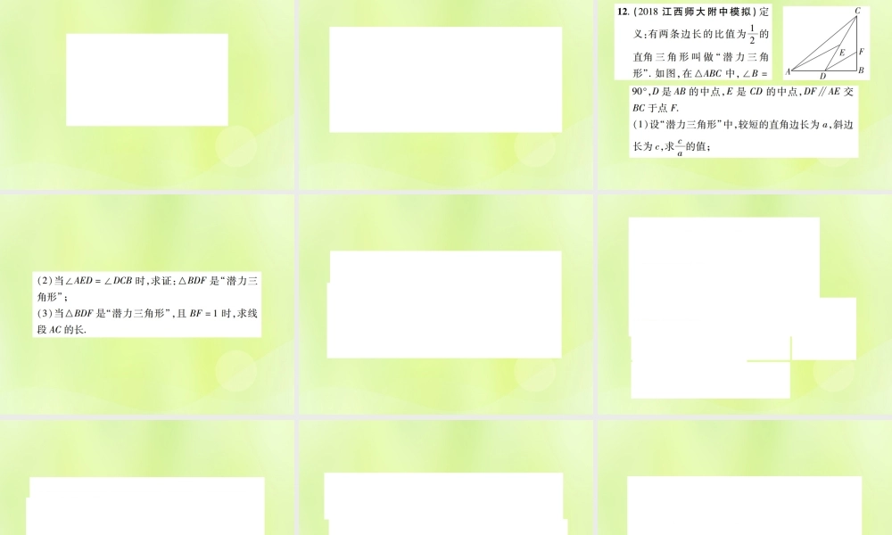 中考数学总复习 第四单元 三角形 第16课时 等腰三角形与直角三角形(高效集训本)课件