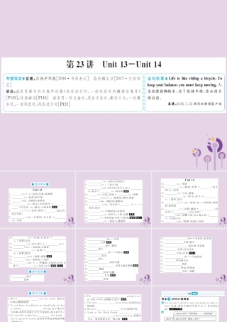 中考英语总复习 第一部分 系统复习 成绩基石 九全 第23讲 Unit 13 14课件