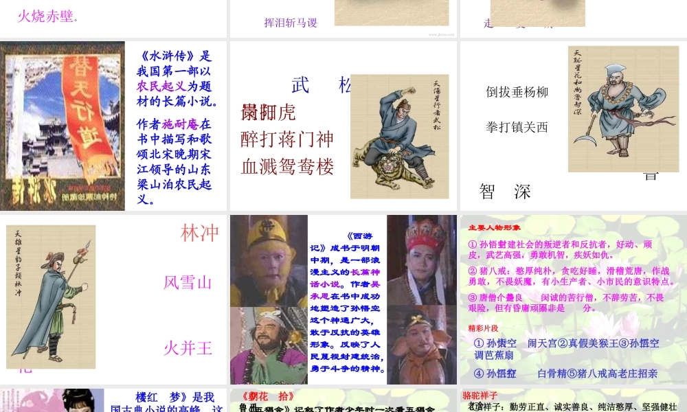 中考语文专题复习 名著阅读专项复习课件[www3edunet]课件