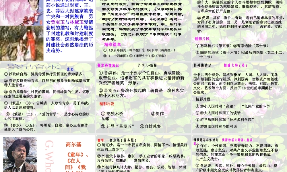 中考语文专题复习 名著阅读专项复习课件[www3edunet]课件