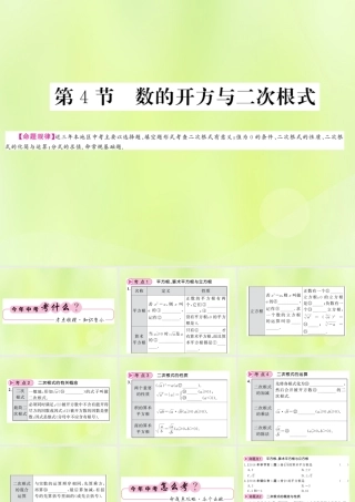 (贵州专版)中考数学总复习 第1轮 教材知识梳理 第1章 数与式 第4节 数的开方与二次根式课件